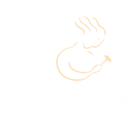 Logo-rescoll-slider-accueil